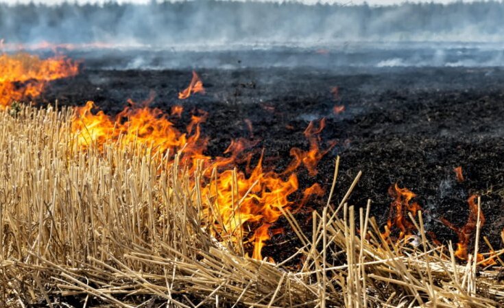 Втрати аграріїв від війни становлять 26 млрд. доларів