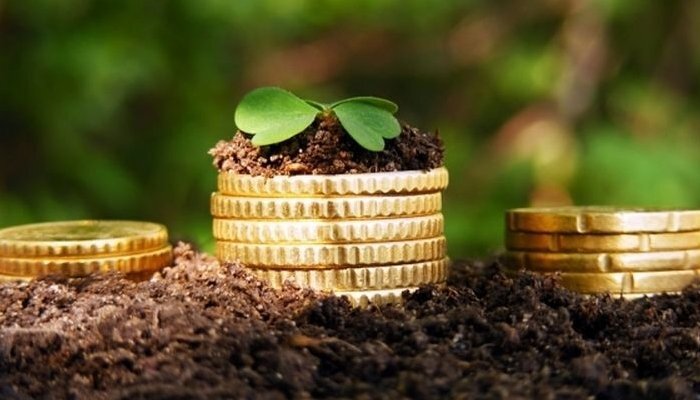 Перед приватизацією землі необхідно сформувати програму переходу – від скасування мораторію до відкриття ринку з усіма необхідними етапами і нормативно-законодавчими складовими
