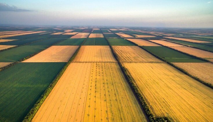Земельна реформа потребує стратегічного підходу