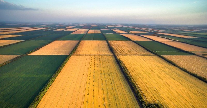 Земельна реформа потребує стратегічного підходу