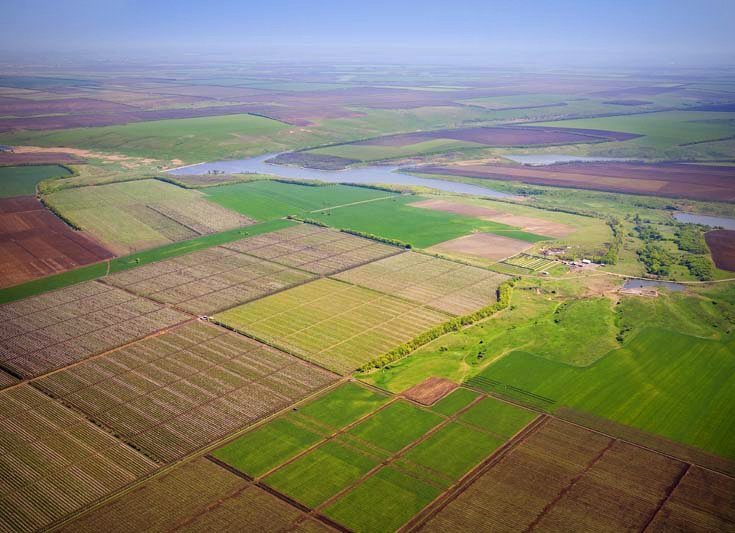 Некомплексна земельна реформа ризикує захлинутися в різноманітних схемах