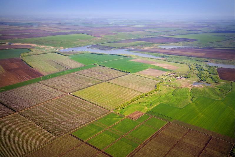 Некомплексна земельна реформа ризикує захлинутися в різноманітних схемах