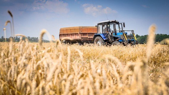 Україна втрачає $200 млрд щорічно через сировинний характер АПК