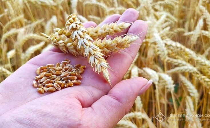 Україні слід подбати про власну продовольчу безпеку