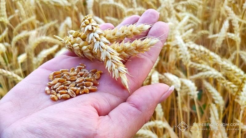 Україні слід подбати про власну продовольчу безпеку