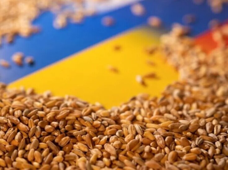 Заборона на поставки АПК в 5 країн ЄС вимагає системних контрдій