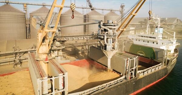 Має працювати і без рф: бізнес спрогнозував роботу «зернового коридору»