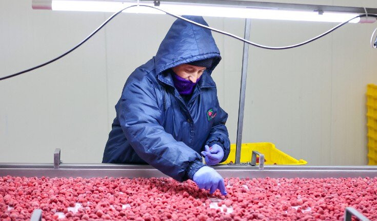 Ukrainian companies invest in future, despite the war