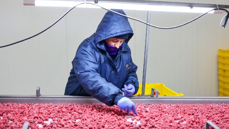 Ukrainian companies invest in future, despite the war